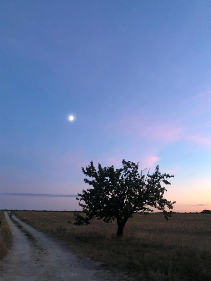 לינה וארוחת בוקר Ourches Domaine Des Chabriers מראה חיצוני תמונה